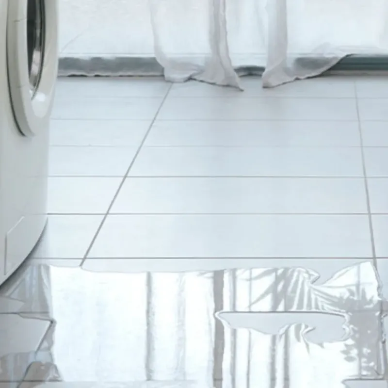 Appliance Leak Cleanup in Avis, PA
