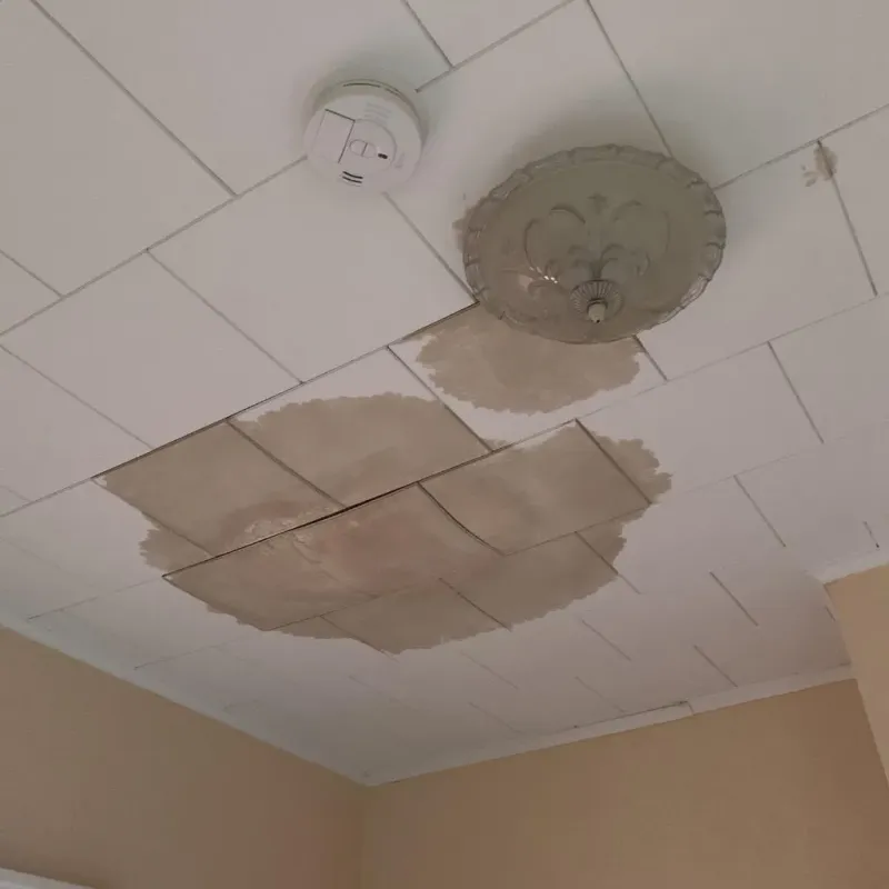 Ceiling Water Damage Repair in Avis, PA