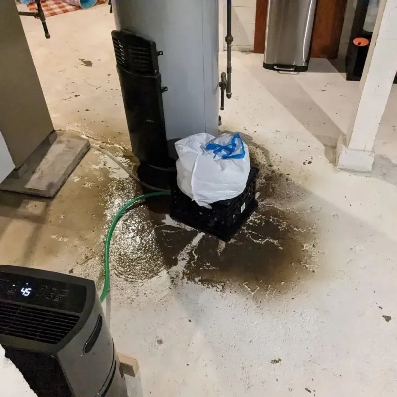 Sewage Backup Cleanup Service in Avis, PA
